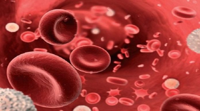 Using the CarePlix Vitals App to Easily Monitor Blood Oxygen Levels