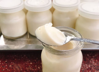 The Secret to Luscious Lips: Unveiling the Power of Yogurt