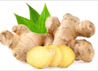 5 Ginger – Natural Herb Secrets for Prevention and Treatment