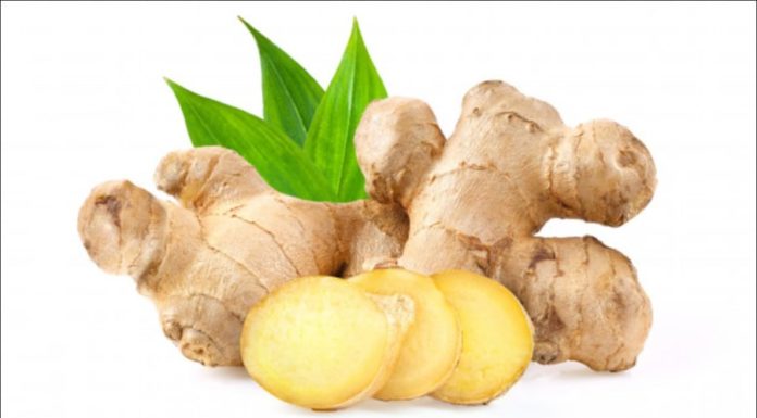5 Ginger – Natural Herb Secrets for Prevention and Treatment