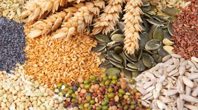 DIY Nutritious Cereal Flour and Its Benefits