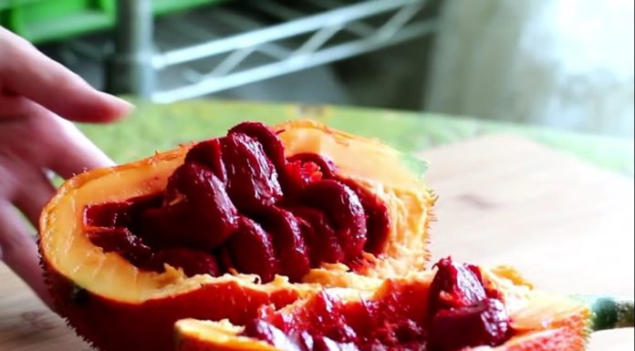 15-Minute Recipe for Homemade Gac Oil