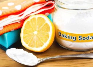 “How to Get Rid of Mold Stains on Clothes with Everyday Household Items”