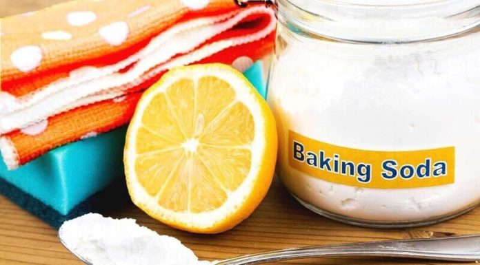 “How to Get Rid of Mold Stains on Clothes with Everyday Household Items”