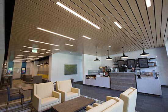 How to Install LED Light Bulbs in Your Home