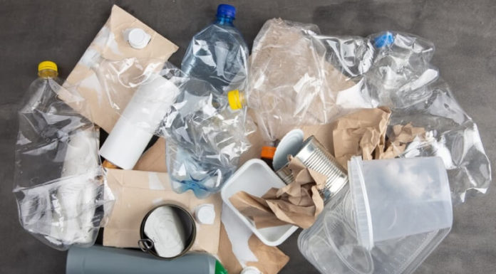 Identifying Ways to Properly Dispose of Household Waste