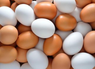 Learning How to Spot the Variations between Local and Industrial Chicken Eggs to Help Prevent Fraud