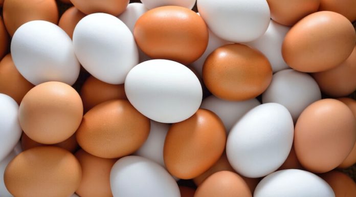 Learning How to Spot the Variations between Local and Industrial Chicken Eggs to Help Prevent Fraud