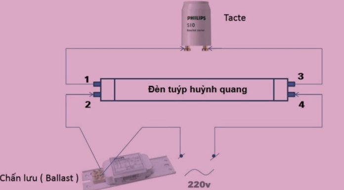 Step-by-Step Guide to Replacing a Fluorescent Light Bulb for Everyone