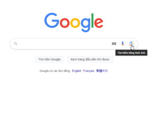 Discover how to find professional and accurate images on the Internet for quick downloading