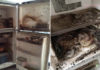 How to Effectively Clean a Refrigerator from Worms and Odors