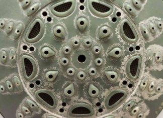 Many people are showering under a dirty showerhead without knowing that this is how to clean it.