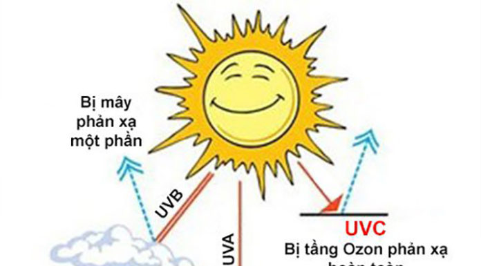 Guide to Viewing UV Index on Android and iPhone Devices