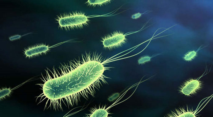 Using Rainwater Harvesting Systems Safely and Effectively: Guidelines