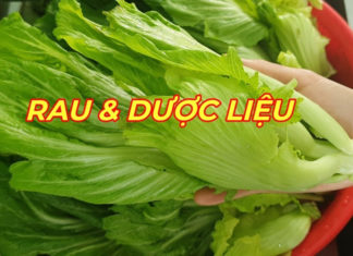 Winter is the season of abundant vegetable growth, with calcium-rich leafy greens outshining milk and eggs. Sold at only 5,000 VND per bundle.
