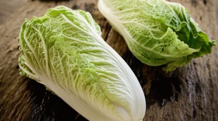 Improved – Vegetable that can help clean your extractor fan quickly