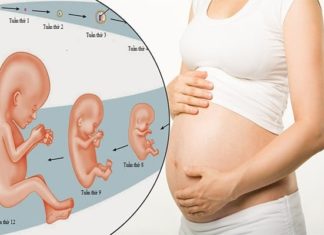 Factors Influencing Fetal Weight: Essential Knowledge for Expectant Mothers