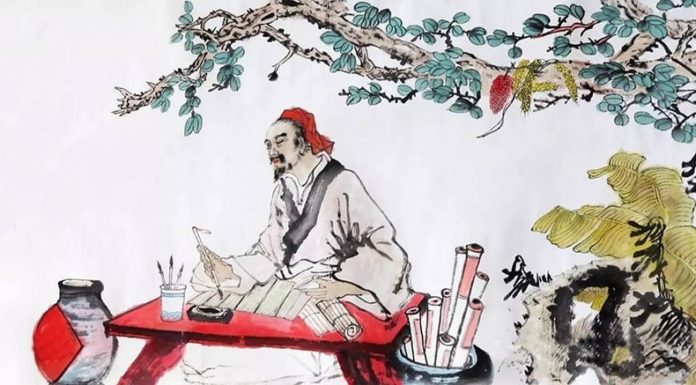 “The Hidden Talent: This Person’s Face Shape is the Key to Success, seize the opportunity”