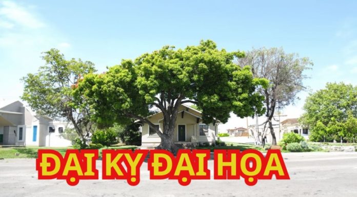 Lucky Charms: Cut down these 4 trees in front of your house before the new year to avoid bad luck, financial difficulties, and wasteful expenses.