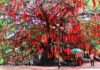 A 300-year-old Wish Tree at Suoi Tien Tourist Area beckons visitors