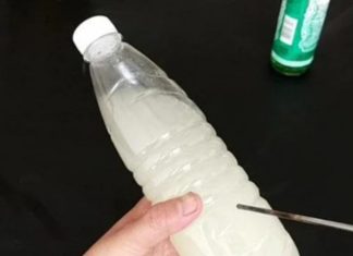 Plastic Bottle Holder for Toilet Tank: Fresh, Clean, and Water-saving