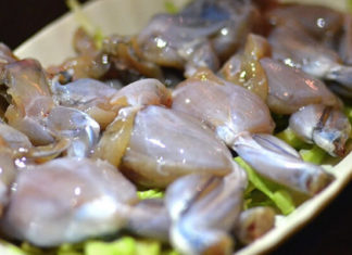 The Ultimate Guide to Creating Delicious and Nutritious Frog Porridge with the Perfect Vegetables