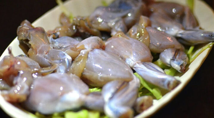 The Ultimate Guide to Creating Delicious and Nutritious Frog Porridge with the Perfect Vegetables