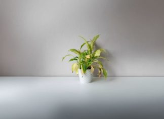 The Ancient Advice: Discard these 3 things to attract wealth, keeping them will lead to poverty, what are they?