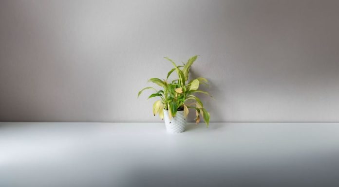 The Ancient Advice: Discard these 3 things to attract wealth, keeping them will lead to poverty, what are they?