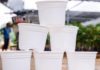 Examining Advantages and Disadvantages of Plastic Pots for Gardening
