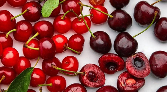 Tips for Extending the Freshness of Cherries in Your Home