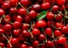 Investigating the Different Types of Chinese Cherries: Characteristics, Categorization, and Costs