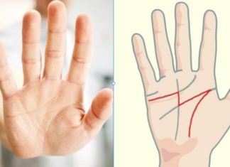 The palm of your hand holds one of these 3 life-line indications, whether you’re male or female, you’ll be fortunate and blessed throughout your life.