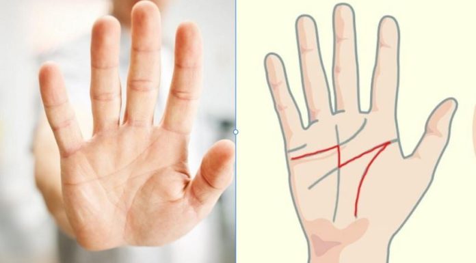 The palm of your hand holds one of these 3 life-line indications, whether you’re male or female, you’ll be fortunate and blessed throughout your life.