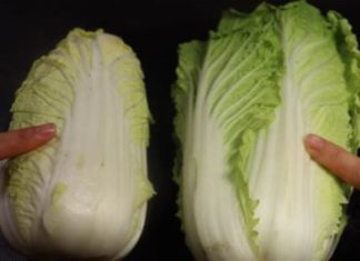 There is a significant difference between Green and Yellow Reform – mothers need to choose the right one for better food.