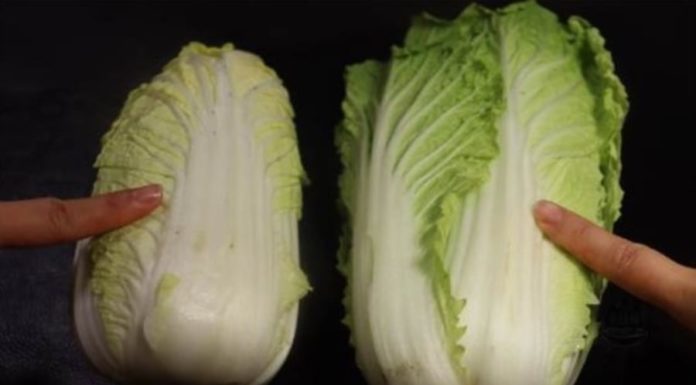 There is a significant difference between Green and Yellow Reform – mothers need to choose the right one for better food.