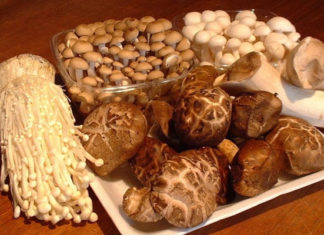 Tips for choosing fresh, tasty and healthy mushrooms