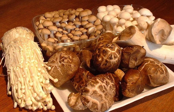 Tips for choosing fresh, tasty and healthy mushrooms