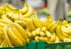 Effective and Safe Banana Storage in the Refrigerator – No Spoilage for a Week!