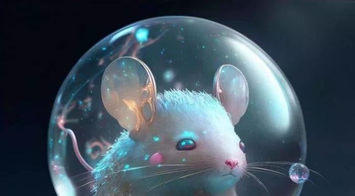 Why did our ancestors say: “Don’t fall in love at the age of Rat, don’t marry at the age of Tiger, don’t get close at the age of Rooster”?