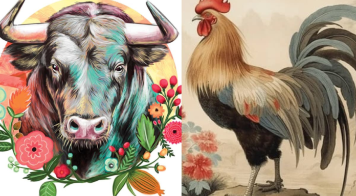 Easy match for these 2 zodiac signs, but their children will be prosperous and happy throughout their lives