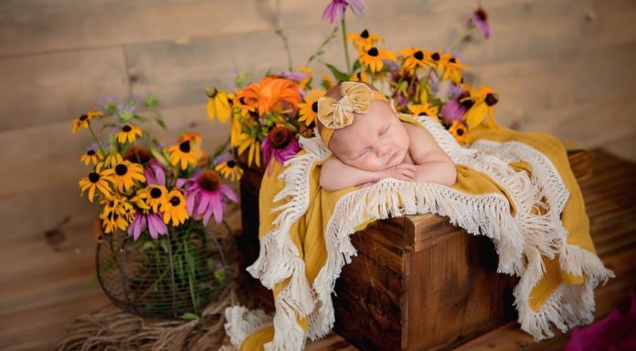 “Having a 4-Year-Old Child Brings Blessings of Filial Piety and Prosperity to Parents”