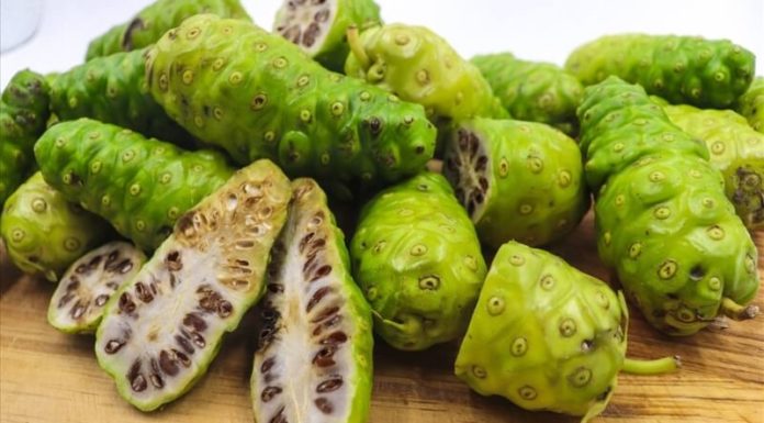 Sample the Distinctive Taste of this Fruit!