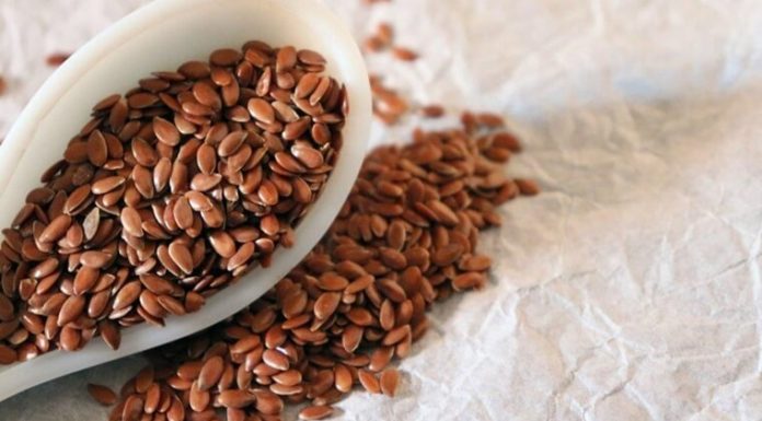 “Superior in Omega-3 Than Salmon, These Seeds Are Said to Be the ‘Miracle’ for Lowering Cholesterol and Controlling Blood Sugar”
