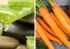 Recipe for Creating a Bright, Radiant Glow with Aloe Vera Gel and Carrots