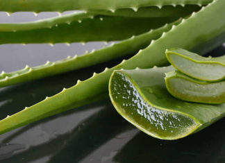 Revealed: The Benefits of Combining Aloe Vera and Coconut Oil to Combat Dry Skin