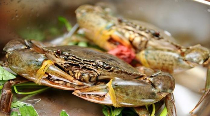 Avoid 6 Illnesses Associated with Eating Sea Crabs
