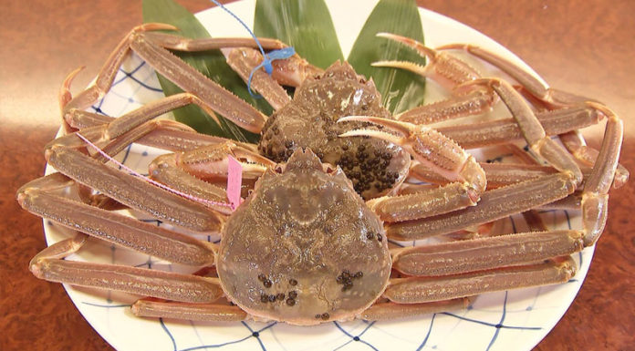 Unlock the Secrets of Making Delectable Snow Crab Dishes