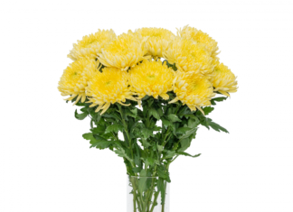 6 types of flowers to place on the altar of the God of Wealth on Tet holiday to attract luck and prosperity