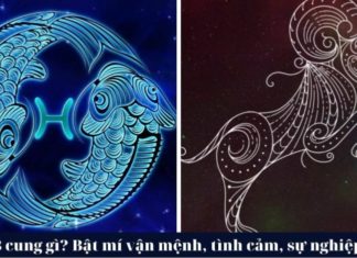 March Arrives, 4 Zodiac Signs Shine, Love and Money Flourish